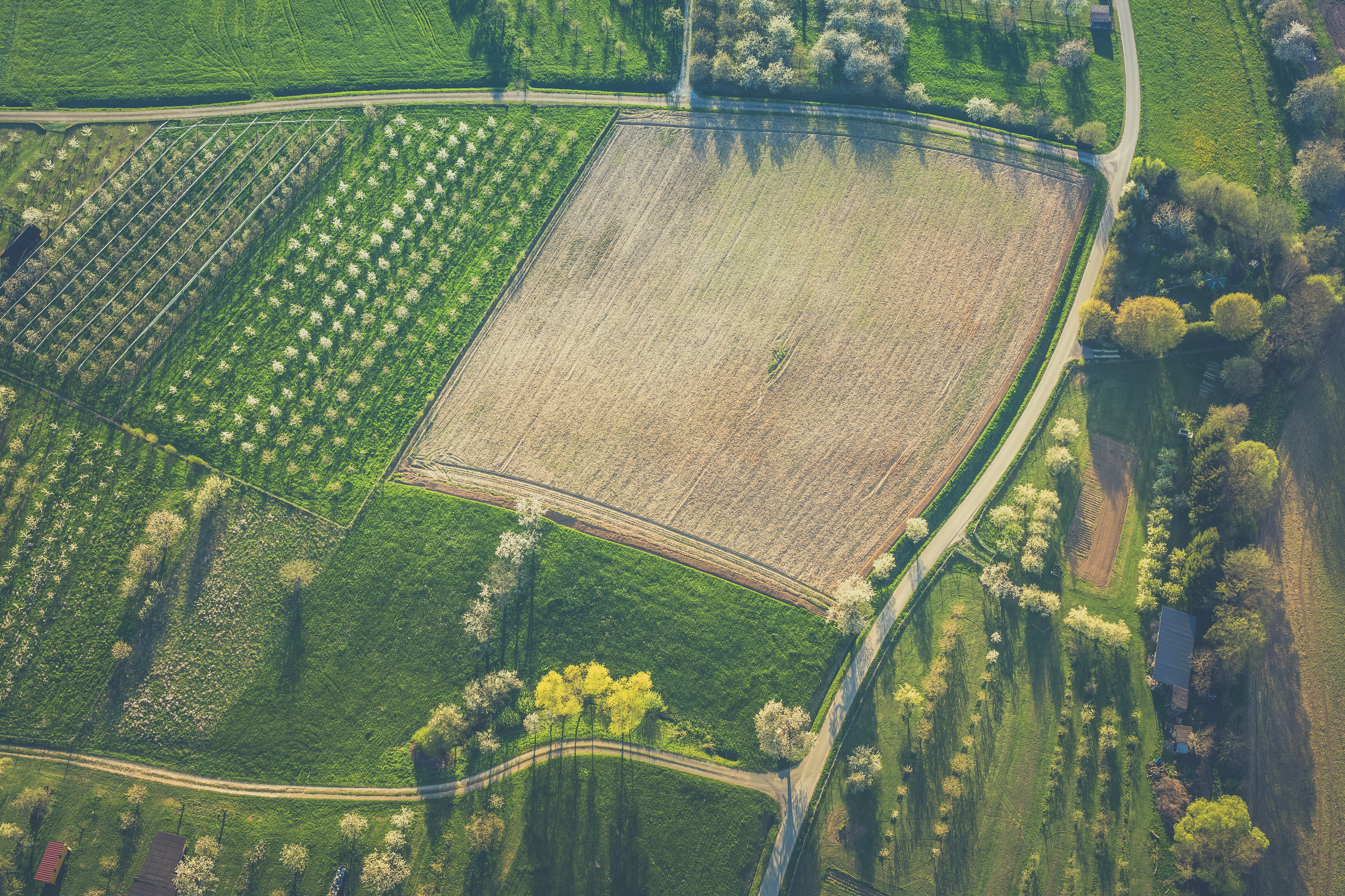 Vente et achat de récoltes agricoles